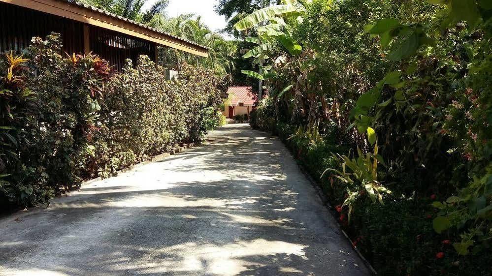 Subtawee Resort Surat Thani Zewnętrze zdjęcie
